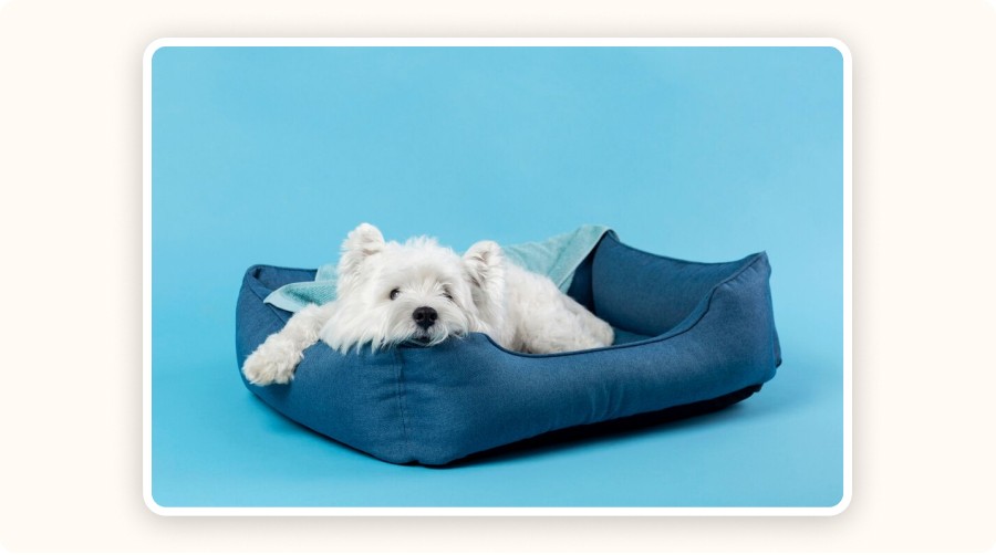 Cooling Mat for Pets