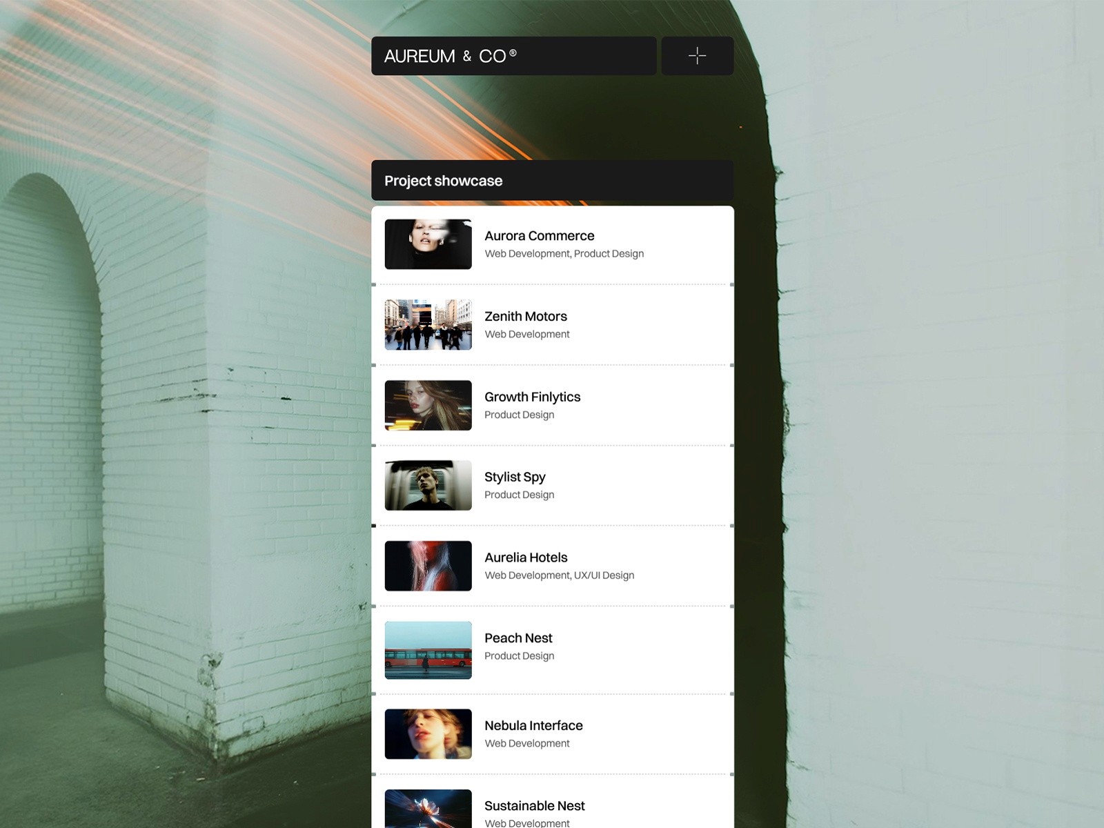 Aureum & Co
