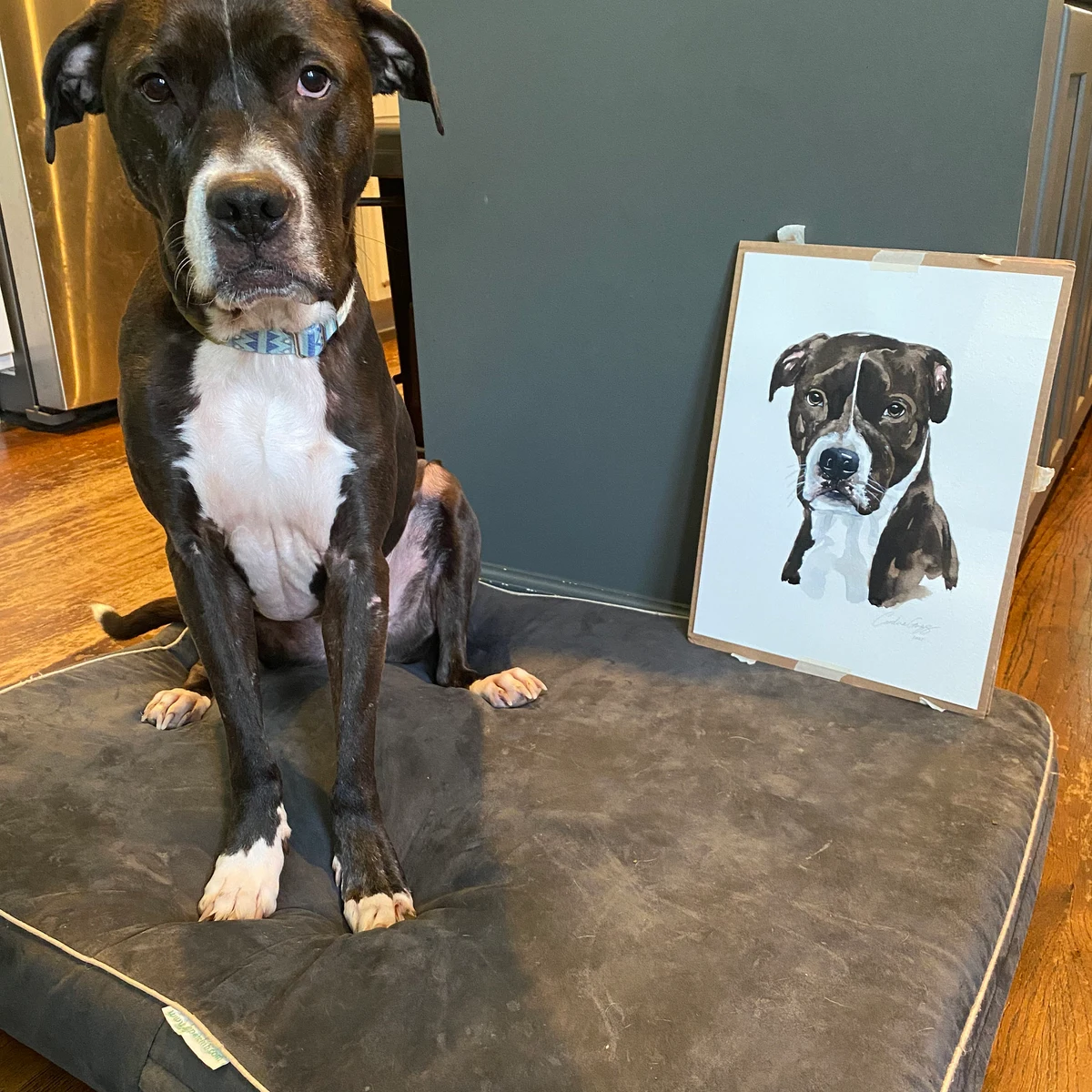 Picture of dog sat next to a painting of itself