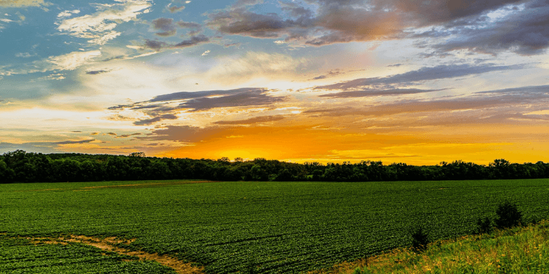 How to Become a Process Server in Iowa