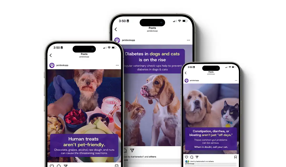 Pet Gut Health Social Posts