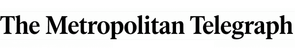 NewsFlash Logo