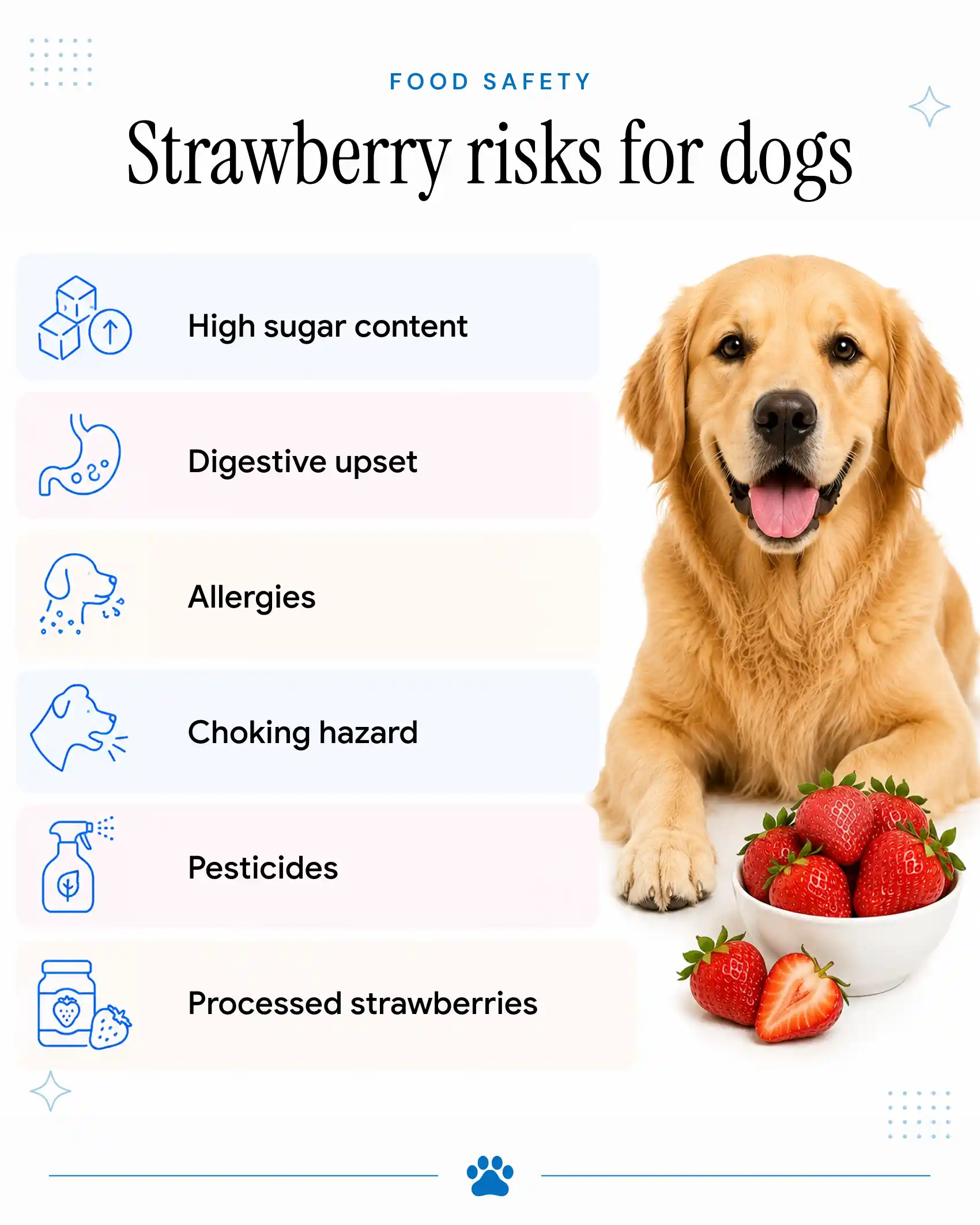 An infographic showing the risks of strawberries for dogs.