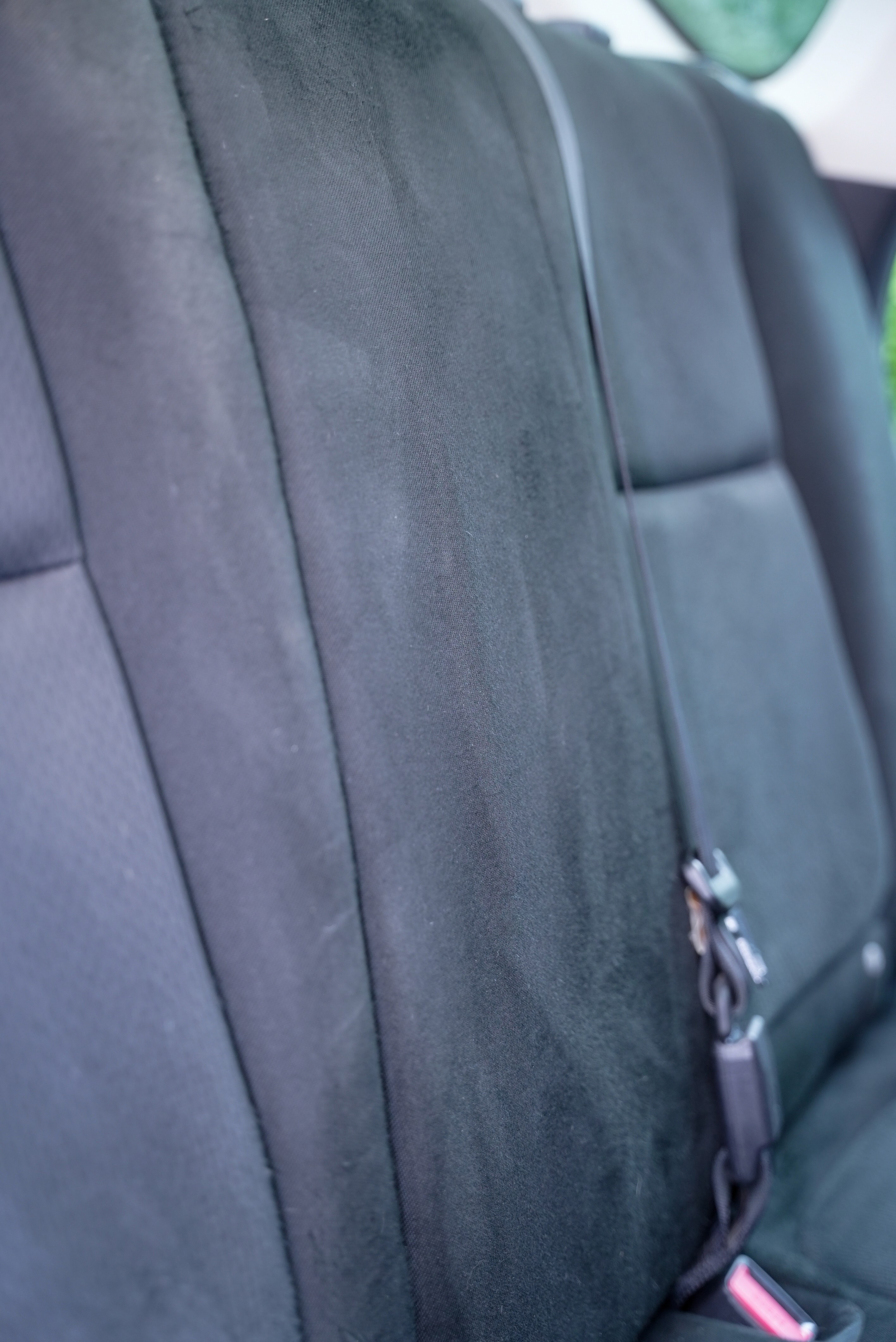 GTA fur free cat hair headliner cleaning results