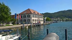 baumpflege ludwigshafen