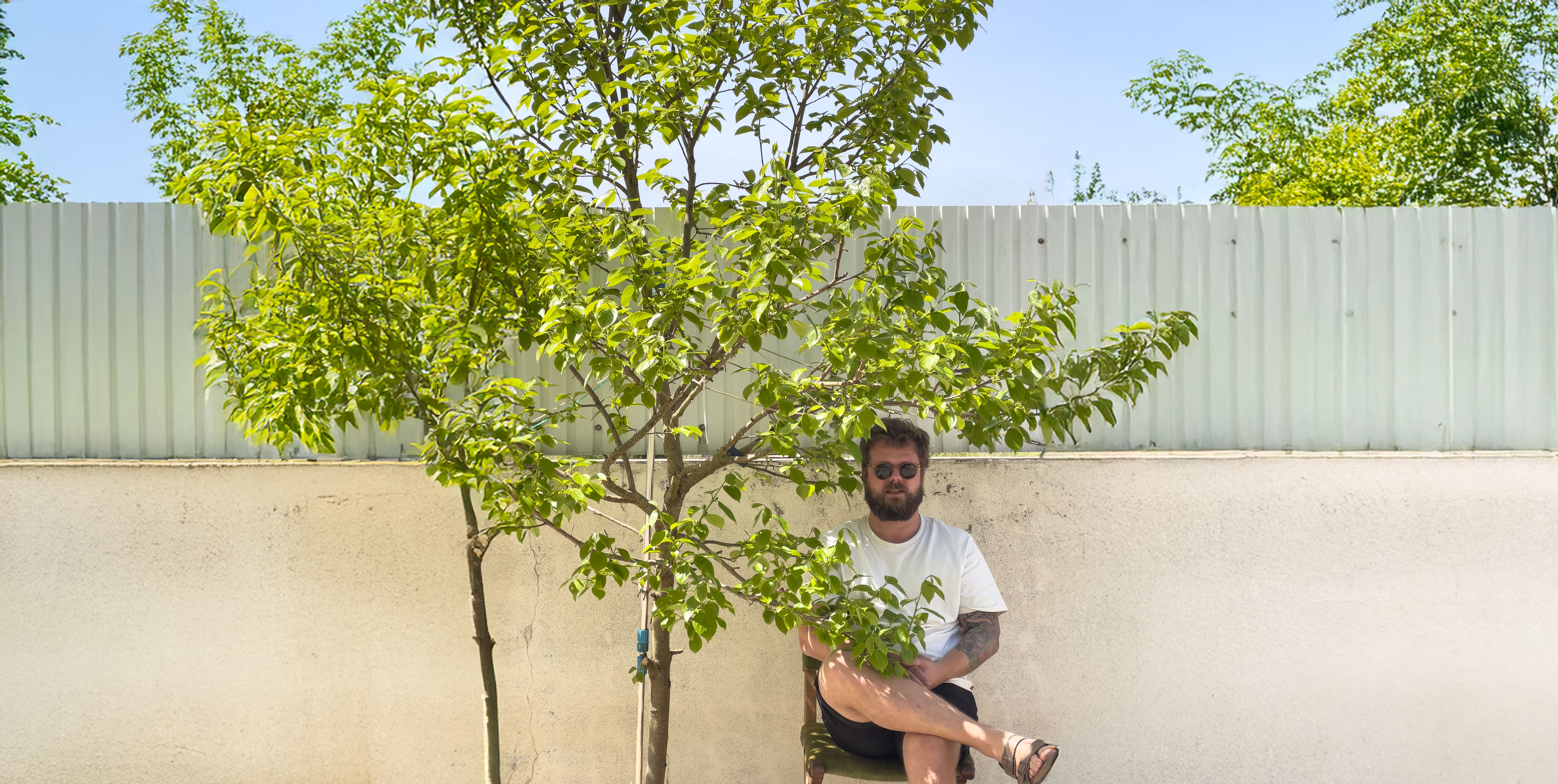 Close-up of a yellow tennis ball sitting on a green court, positioned near the white center line.