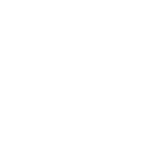 Community Satisfaction