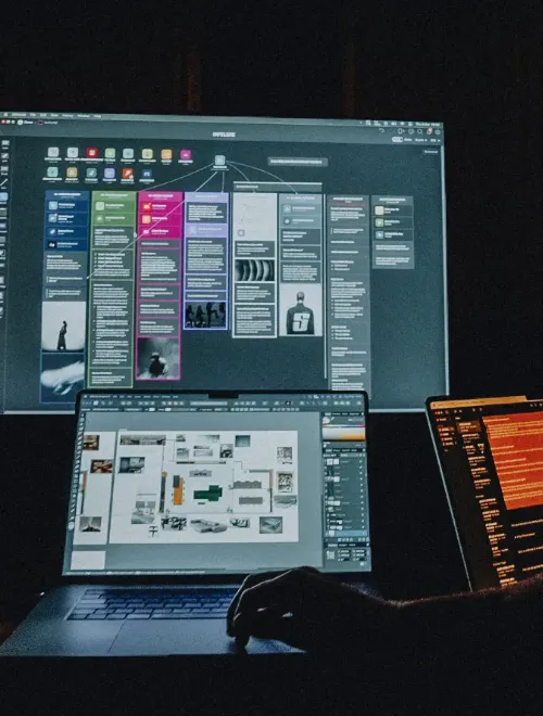 Moos showing digital assets on a laptop