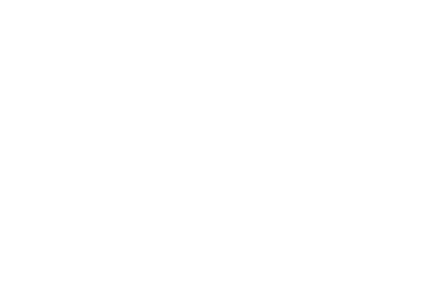 Logo for an imagined company