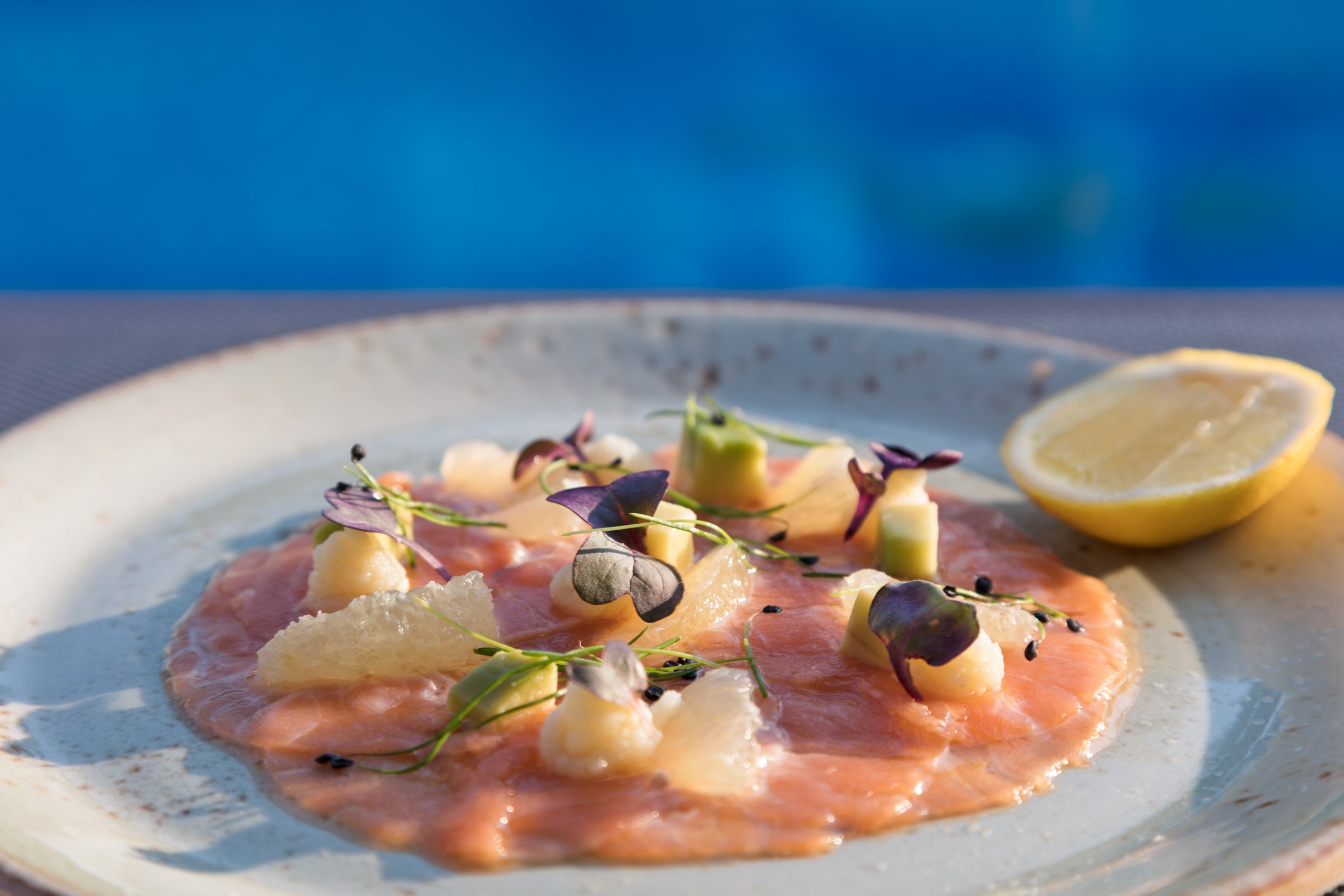 Eleanor Hastings portrait