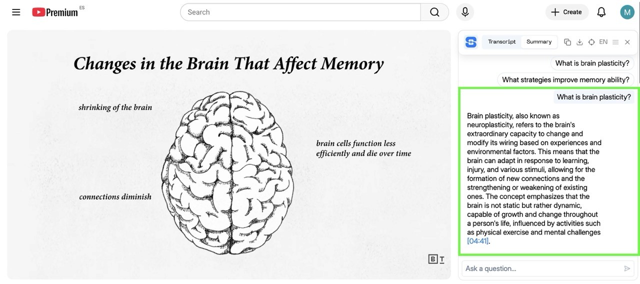 Change theme colour to the Dark or Light of youtube transcriber summarizer ai chrome extension 