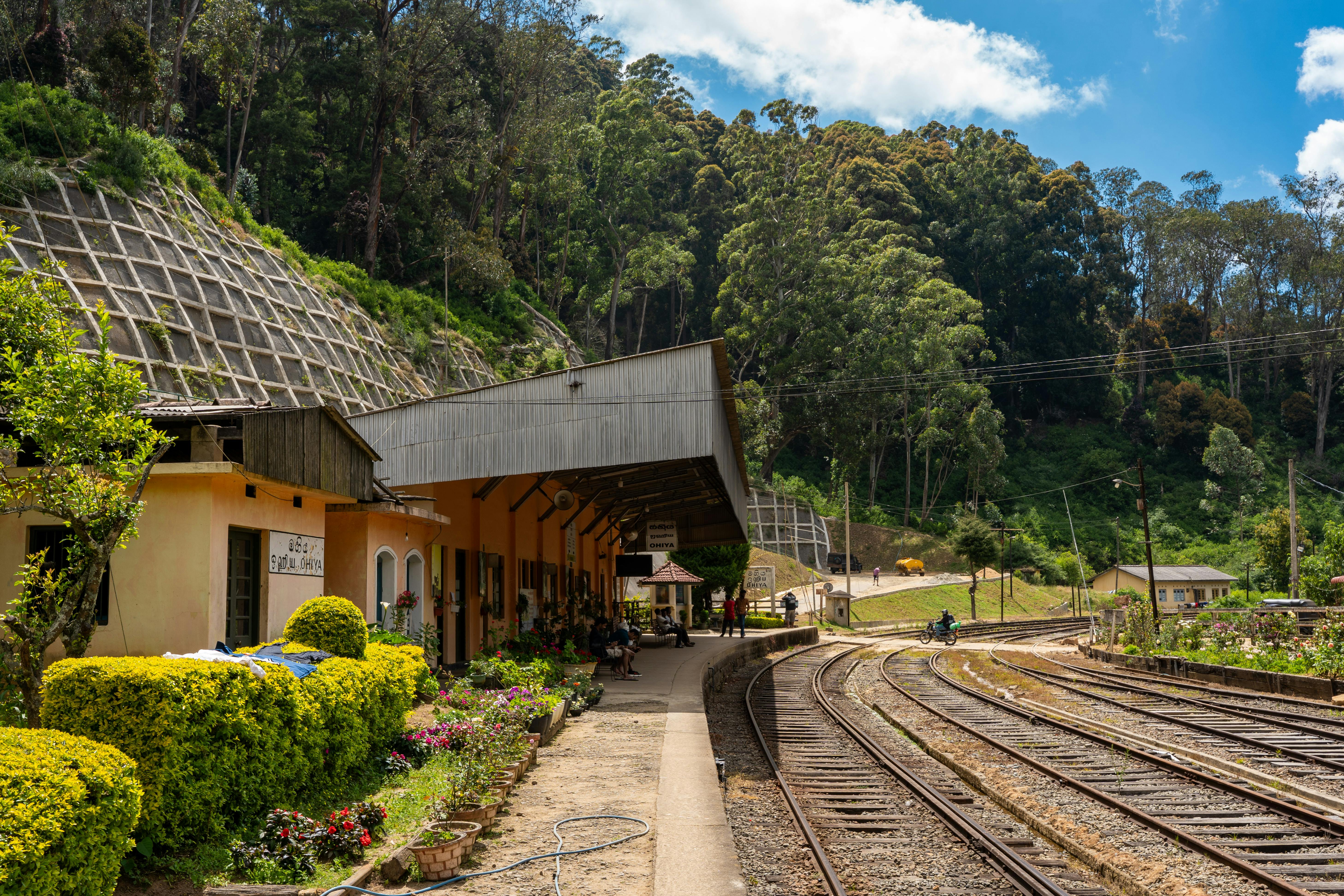 red train travelling near body of water