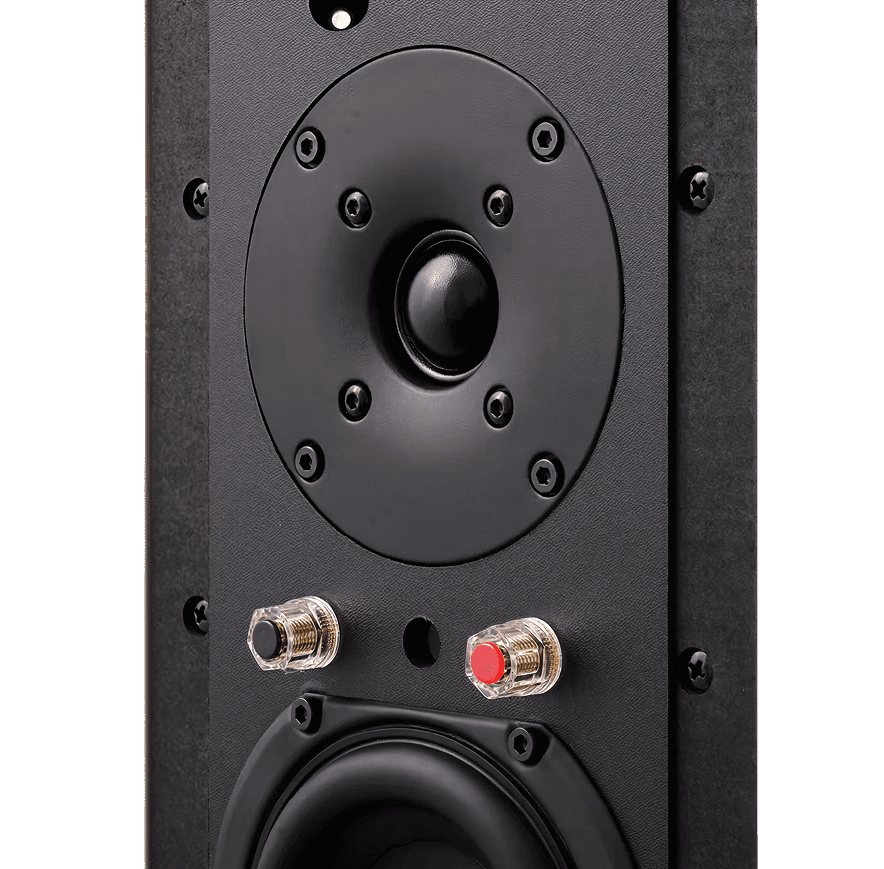 Speaker with tweeter and binding posts.