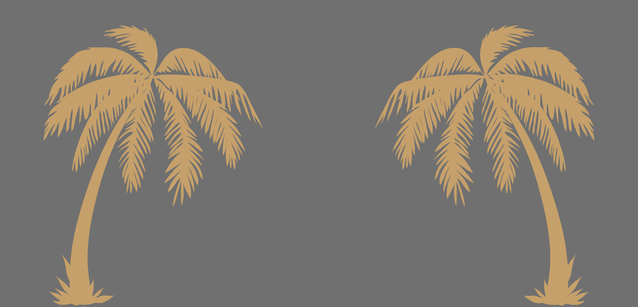 Two palm trees