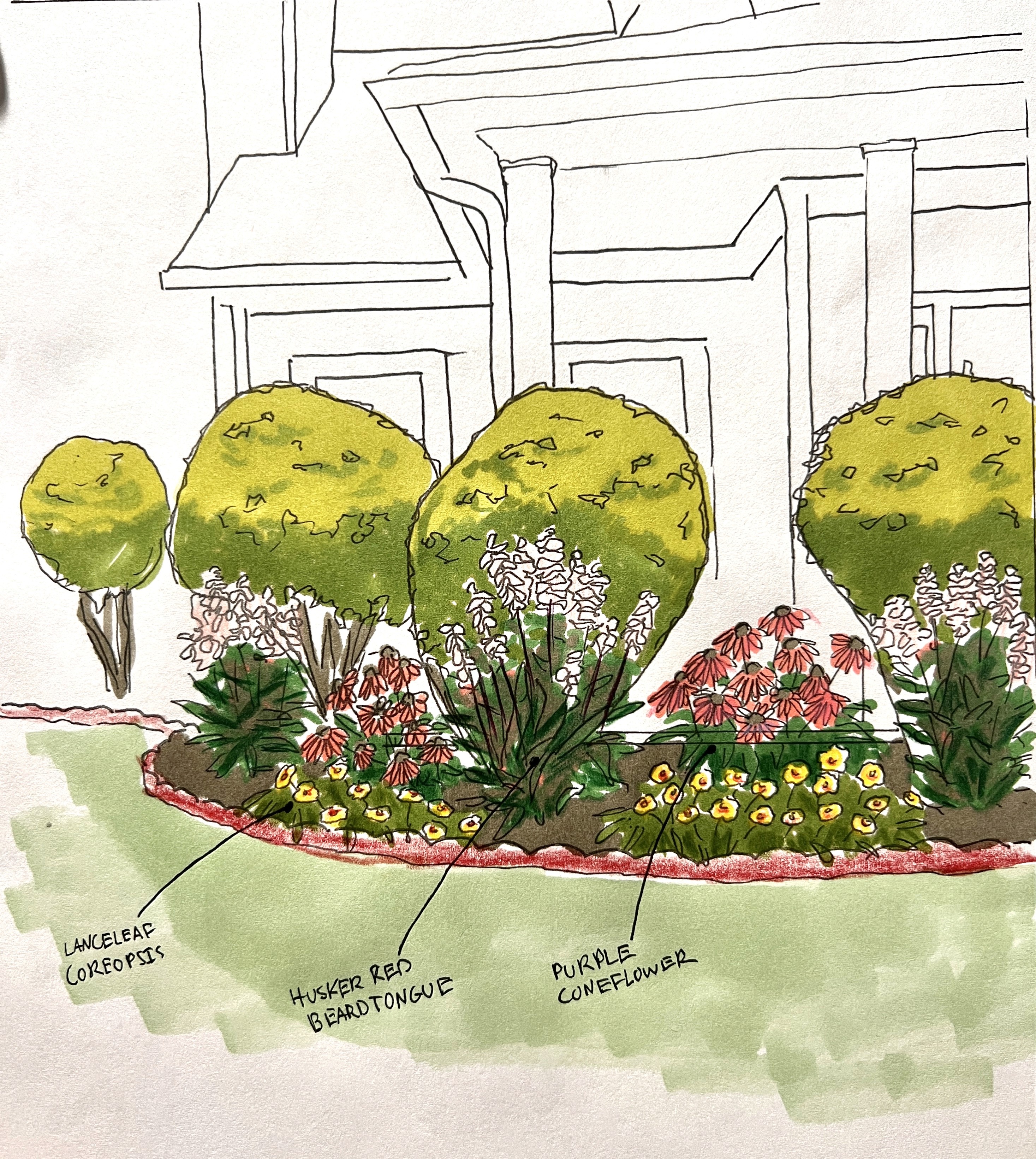 Pollinator garden design with coneflowers, beardtongues, and coreopsis Marietta