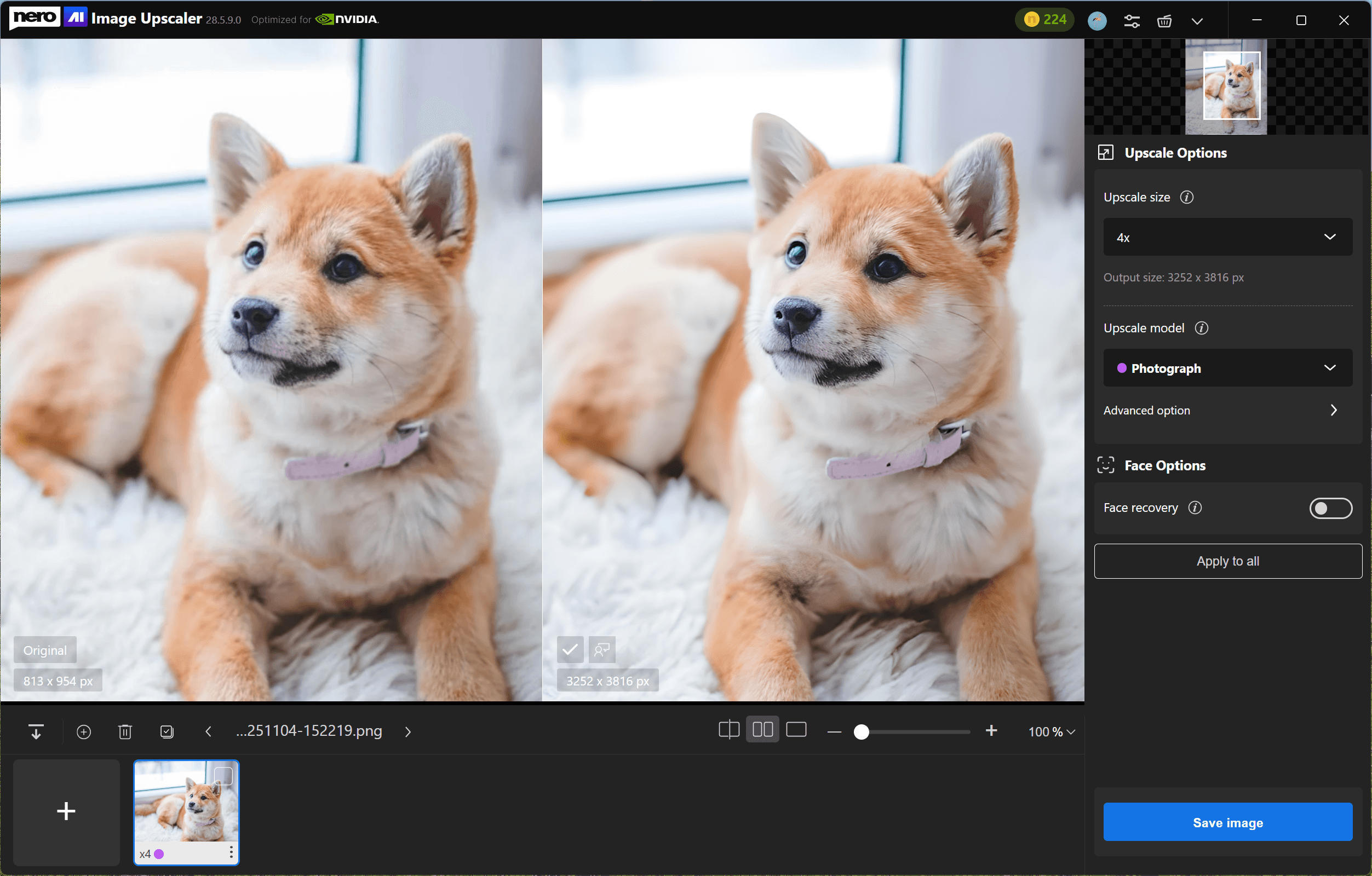 upscale dog image