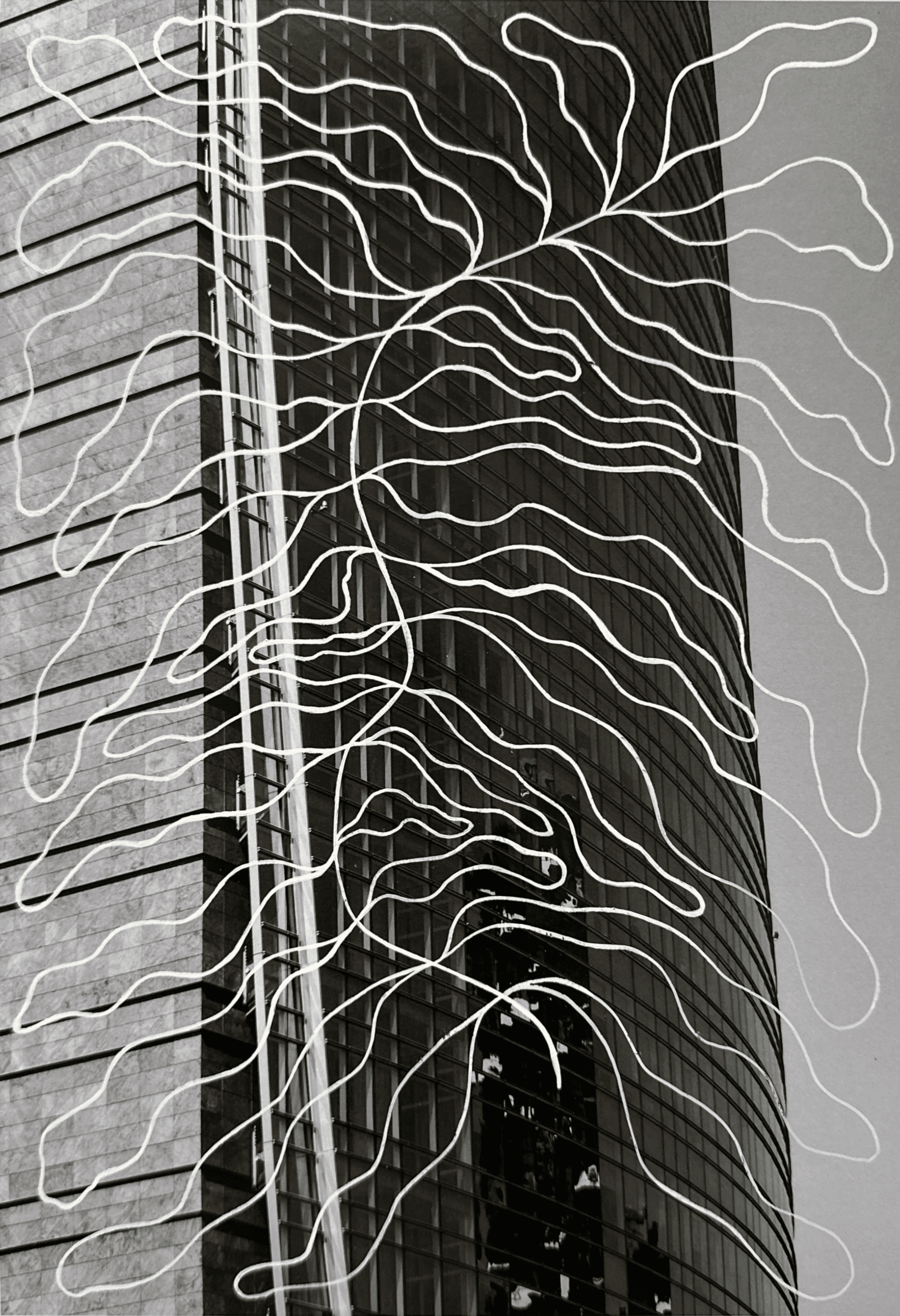 Collage detail for Websites