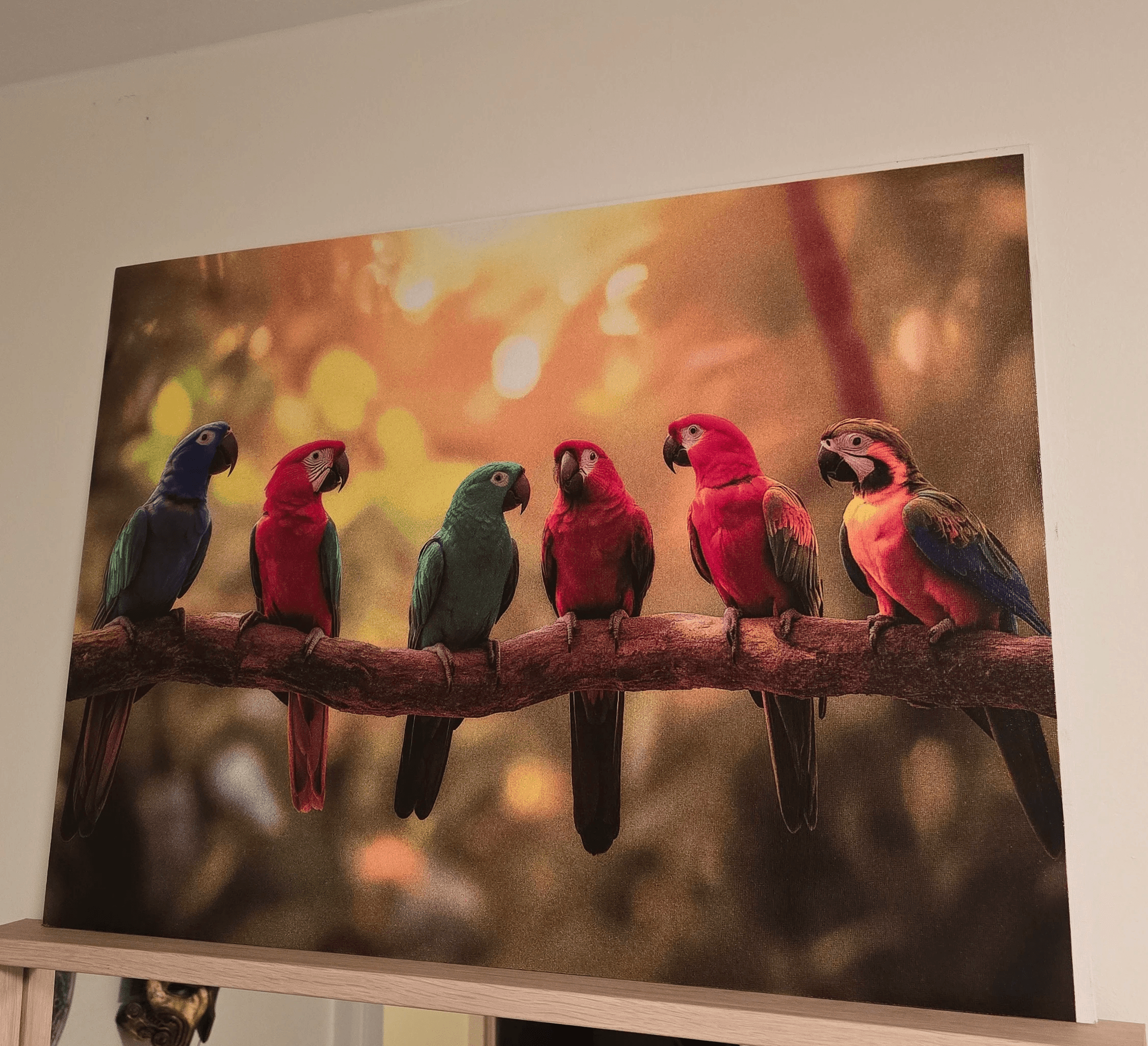 Single tree in a field with light rays.