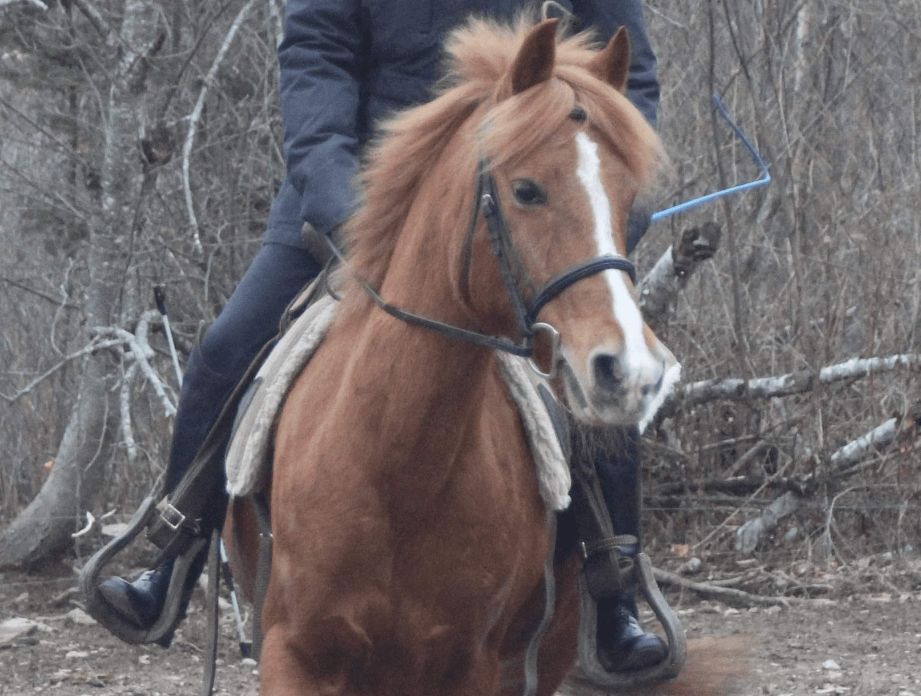 a-man-riding-on-the-back-of-a-brown-horse - rebecca-müller (unsplash)./pho