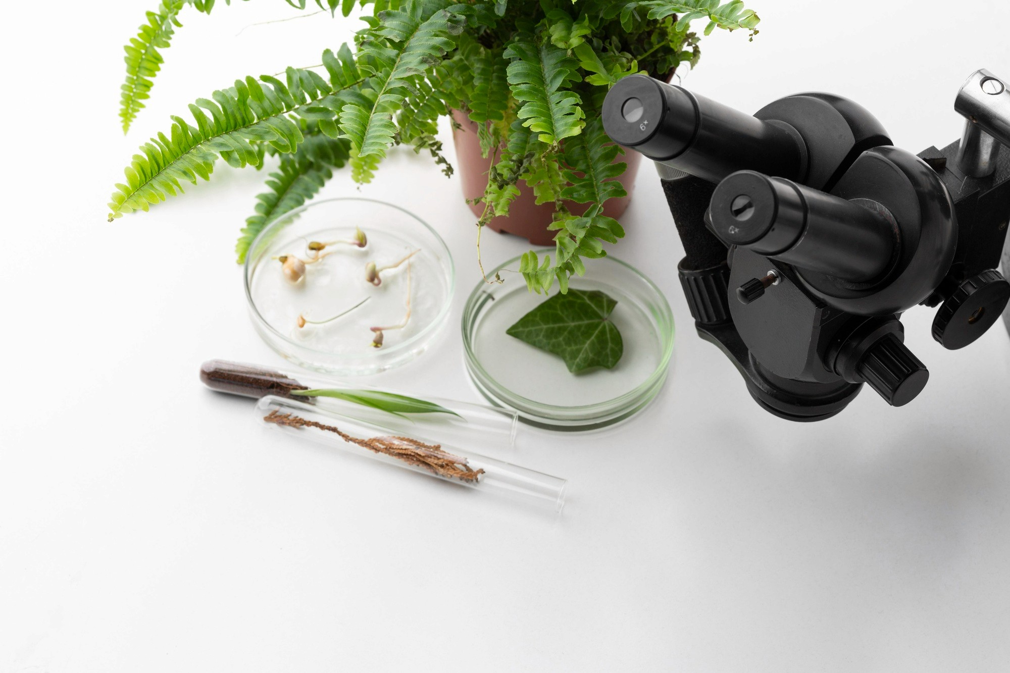Eco-science