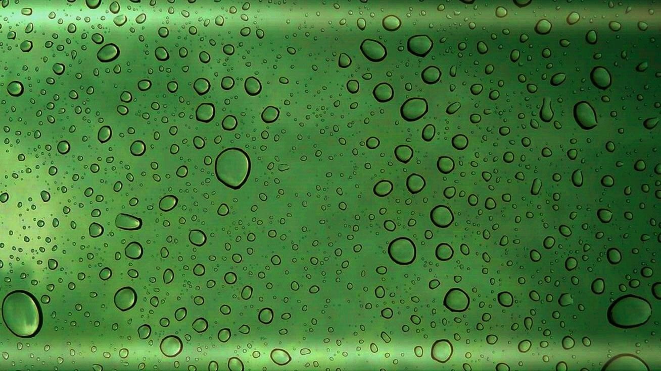 photography of tall trees at daytime