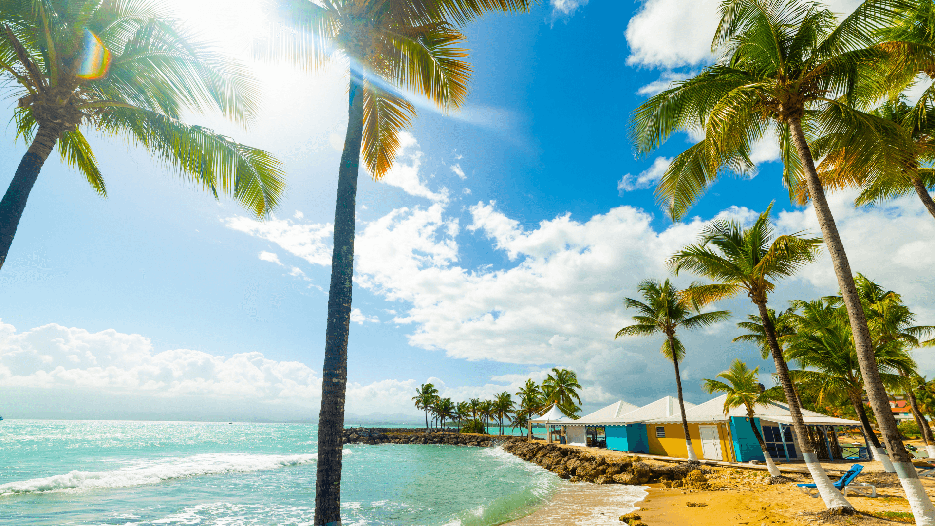 Paysage tropical de Guadeloupe avec palmiers, plage et ciel bleu, cadre apaisant pour se reconnecter à soi-même