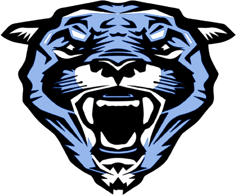 A TeamLinkt Sports League Partner Logo