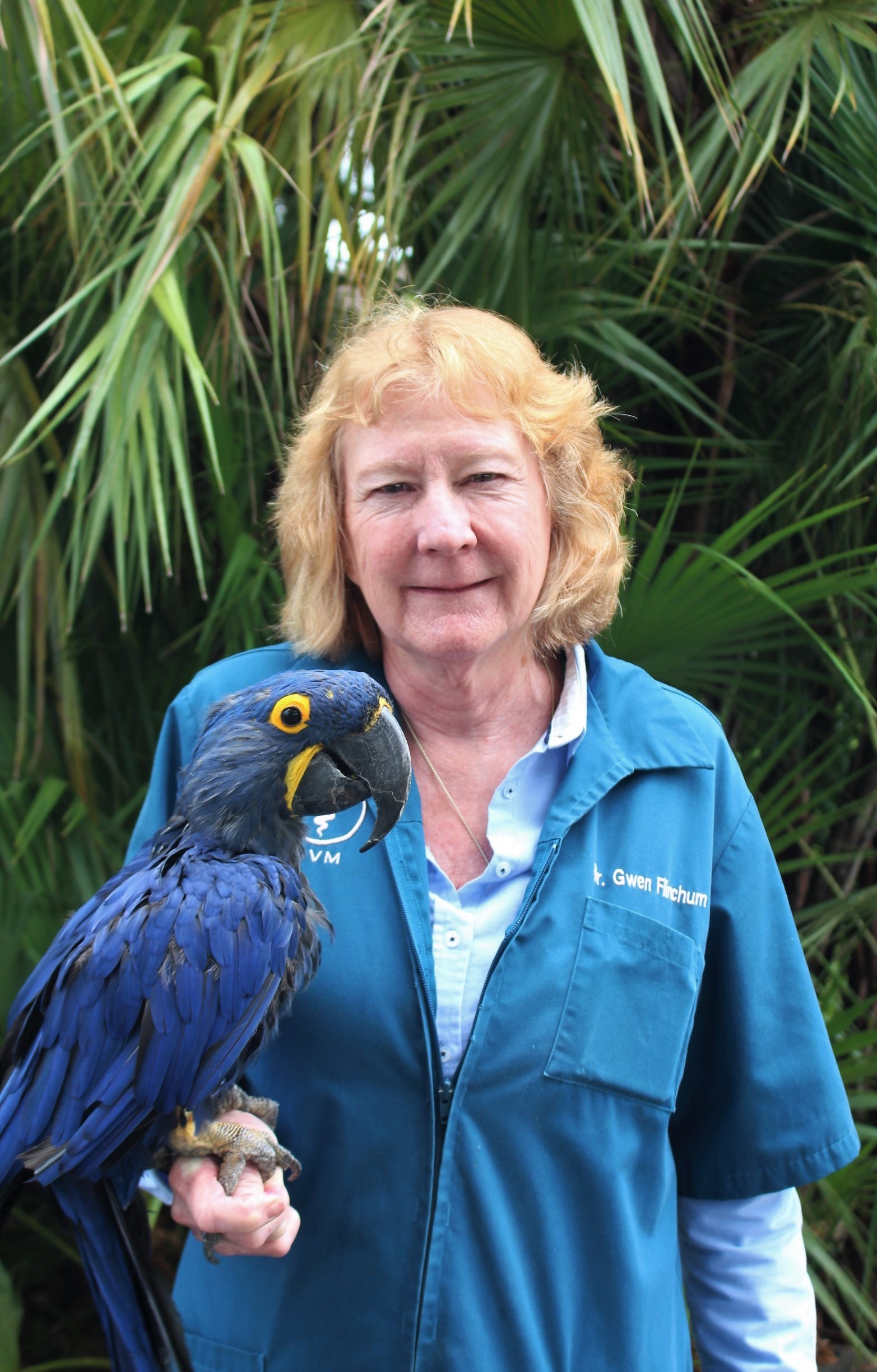 dr.biddix holding a scarlet macaw in front of greenery