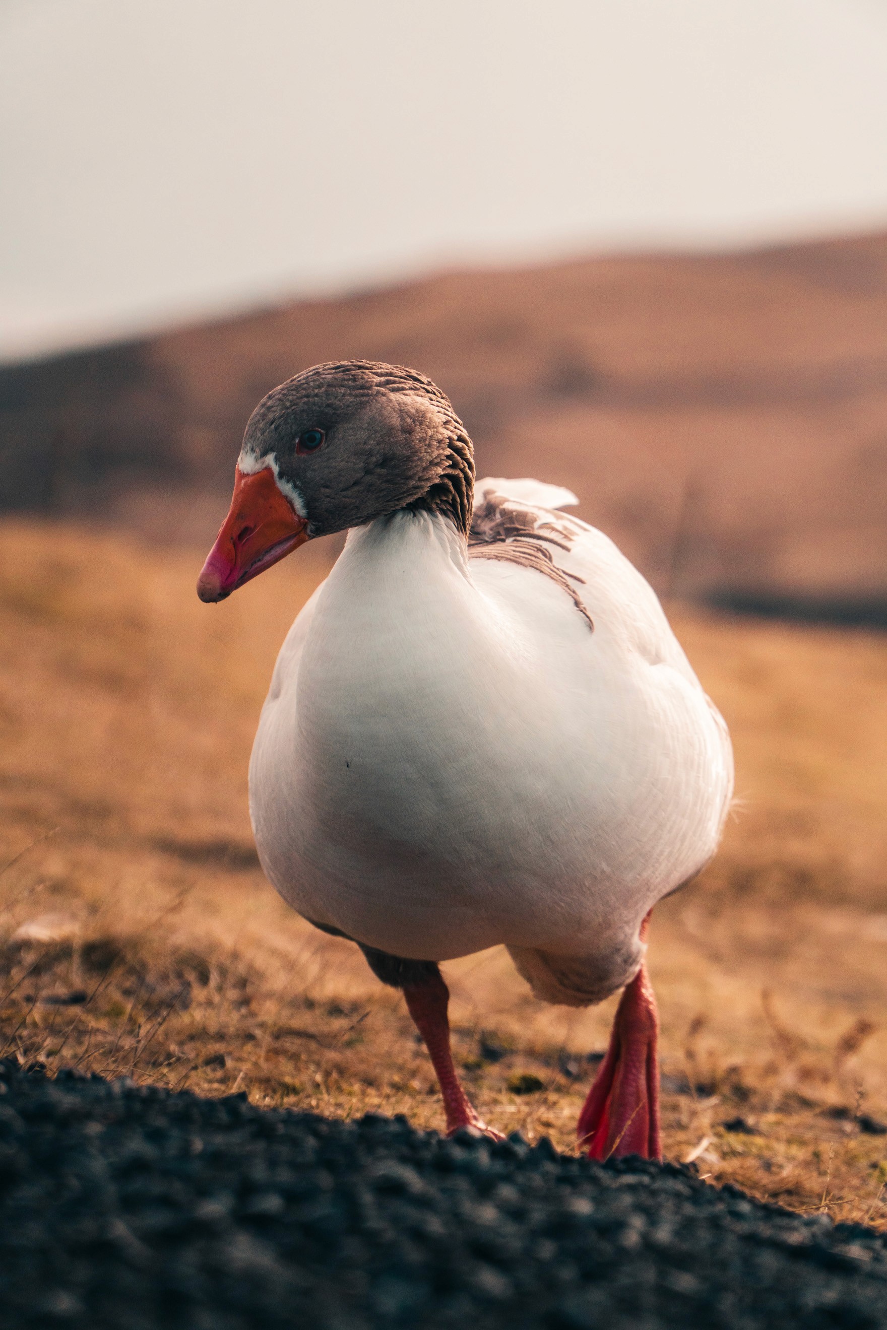 "Stuart, Dont get too close!"