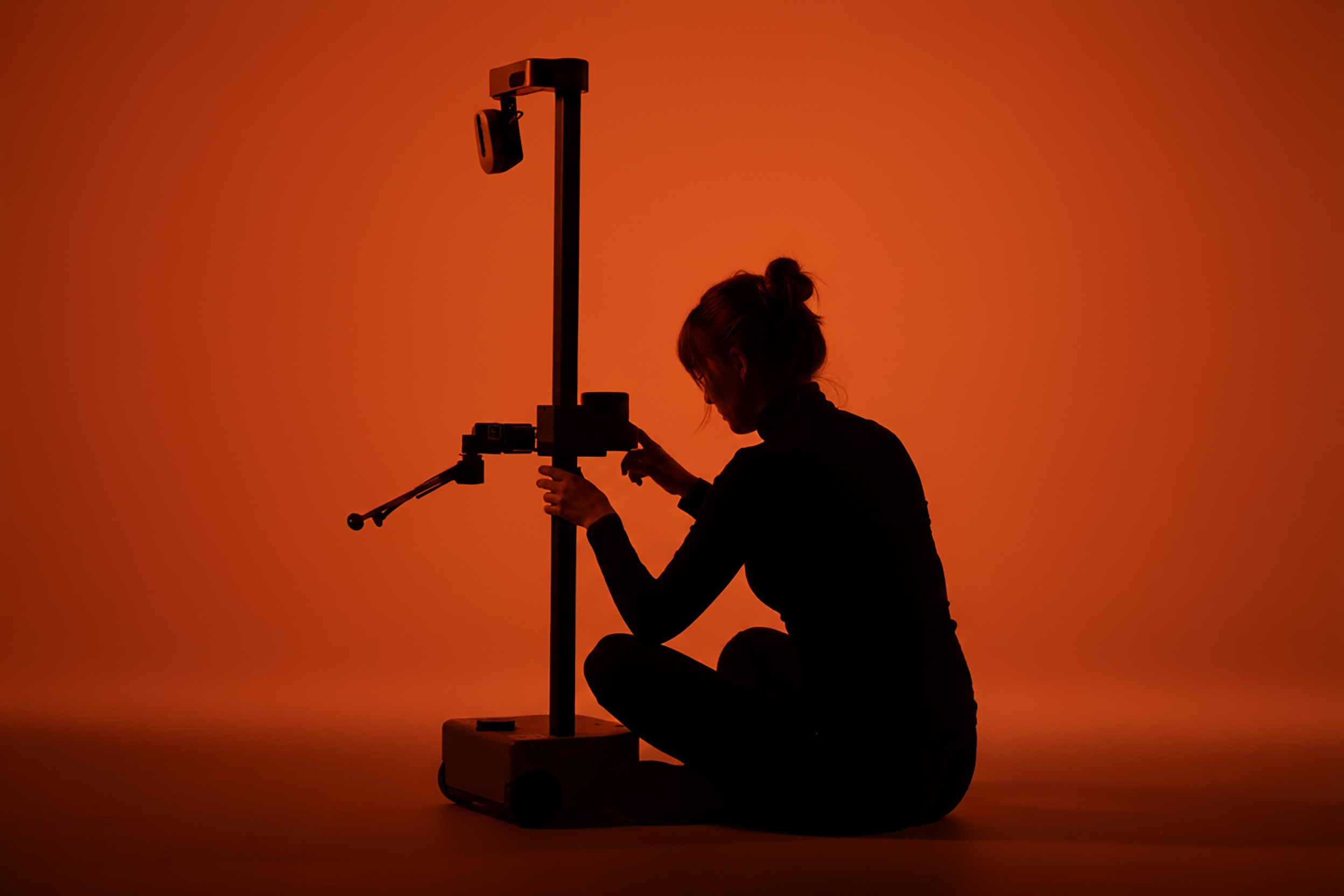 Japanese bed table with a plant