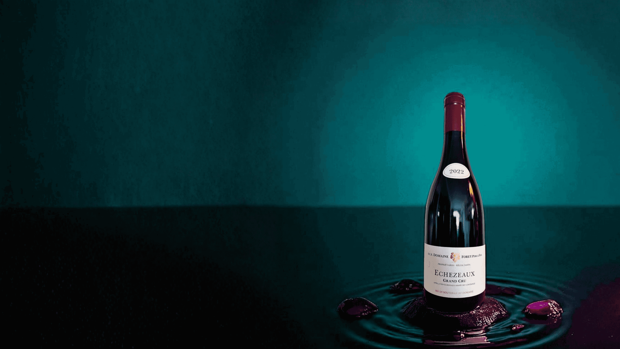 Photo de la bouteille "Echezeaux Grand Cru" du domaine Régis Forey sur fond bleu canard