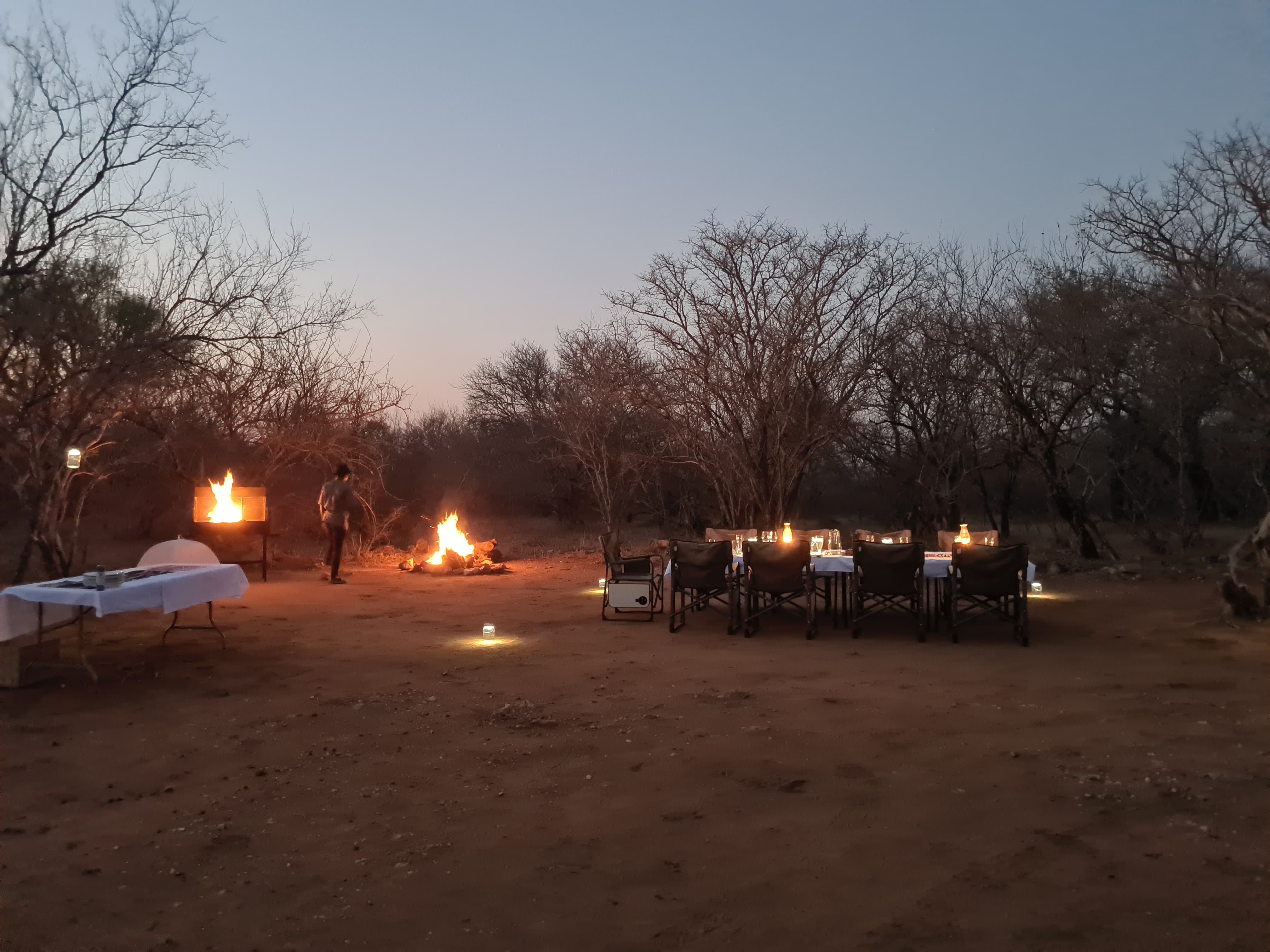 Kilimanjaro Elephant Ride, Arusha National Park, Tanzania – elefant i högt gräs tittar mot kameran, medan fem ryttare till häst på ridsafari i bakgrunden betraktar elefanten i ett grönt och frodigt landskap.