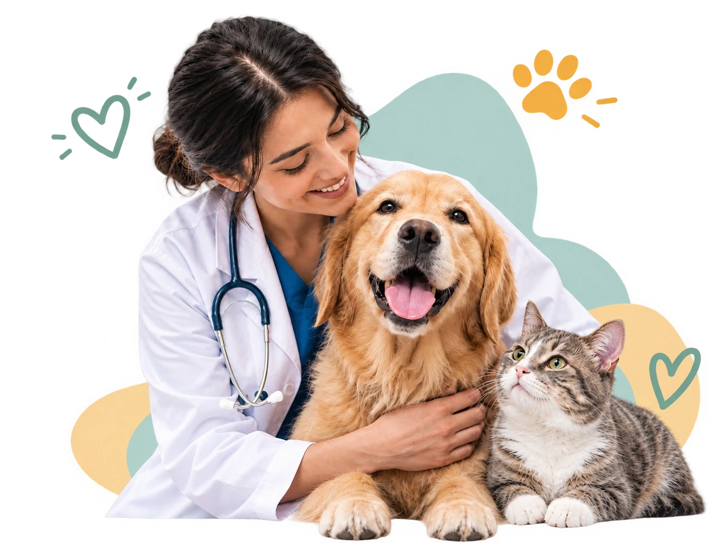 Dog with veterinarian in the clinic
