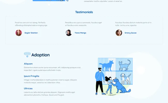 Pet Care Website Design