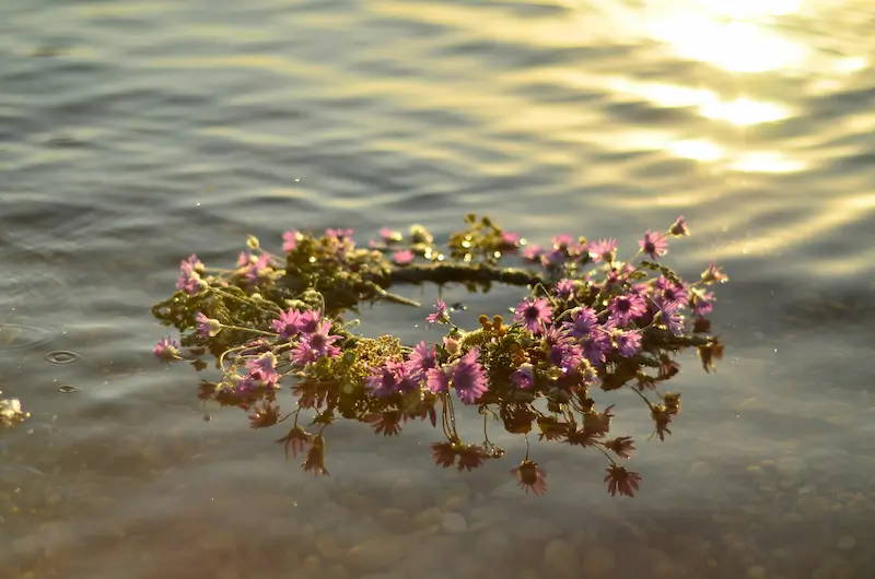 Ein Blumenkranz schwimmt auf Wasser