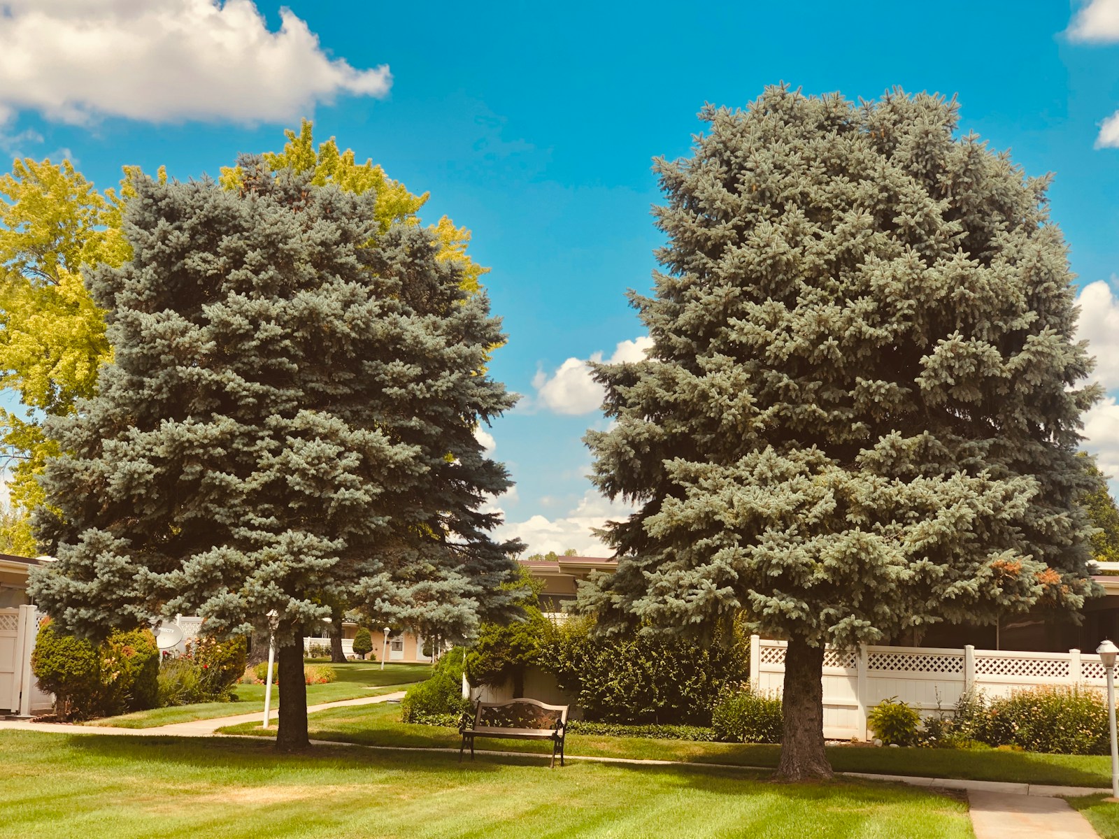 Clean landscaped yard after outdoor cleanup