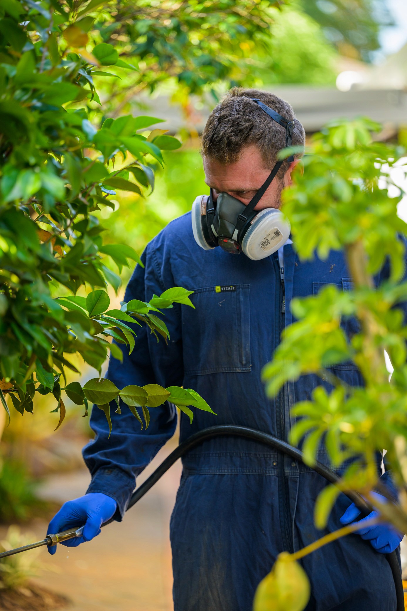Termite and pest infestation at a church with floors pulled up