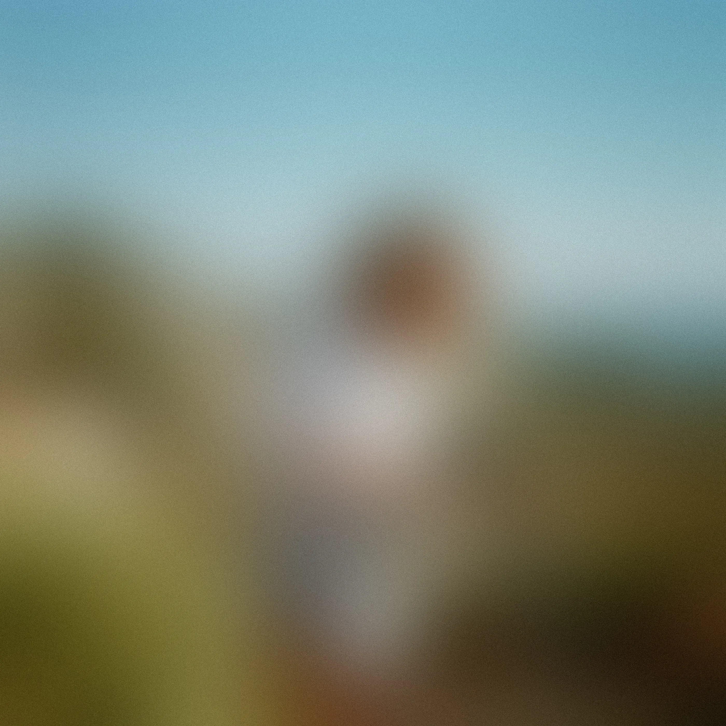 Blurred image within article
