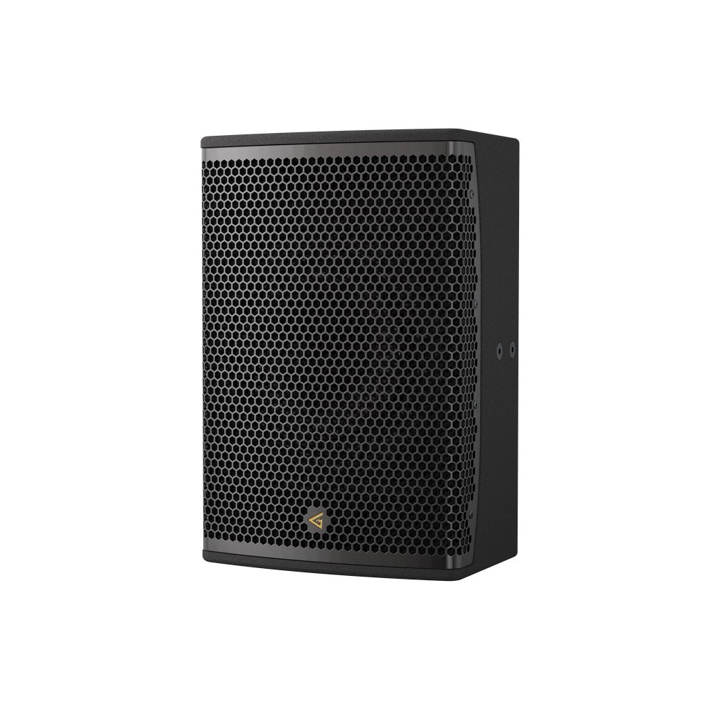 Black speaker with honeycomb grill and logo