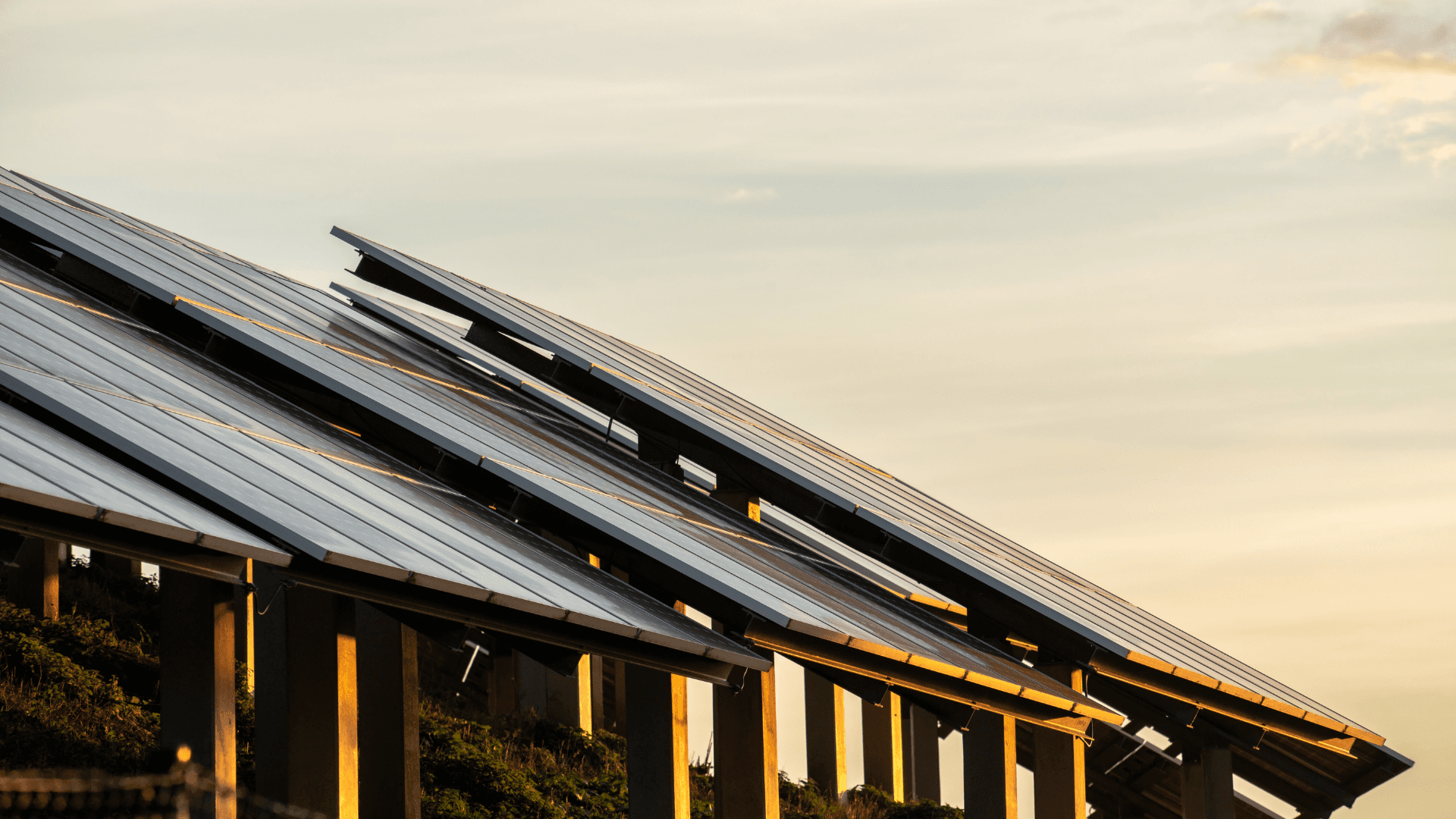 Zahnrad-Symbol mit aufsteigendem Balkendiagramm, das Wachstum und Leistung auf blauem Hintergrund darstellt.