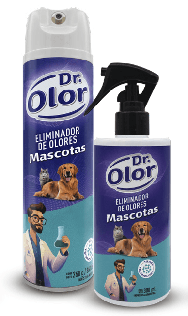 V60 Dripper in interior