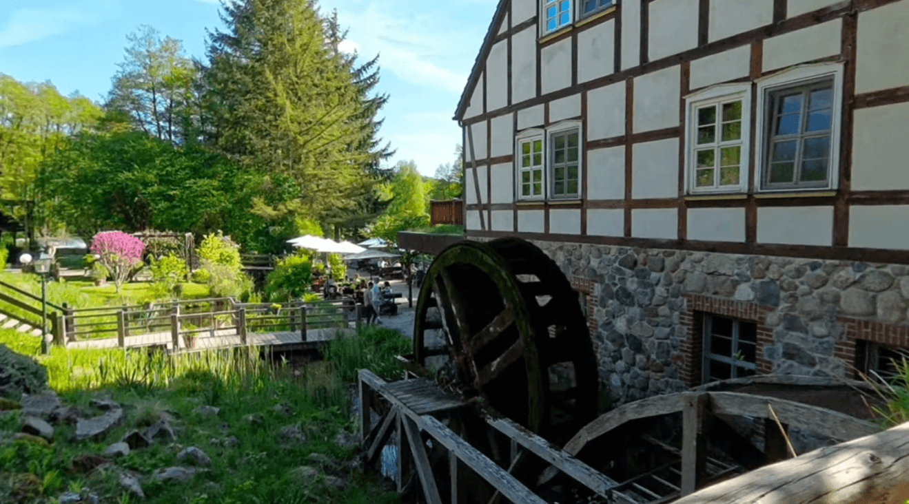 Portrait of portfolio creator – back view