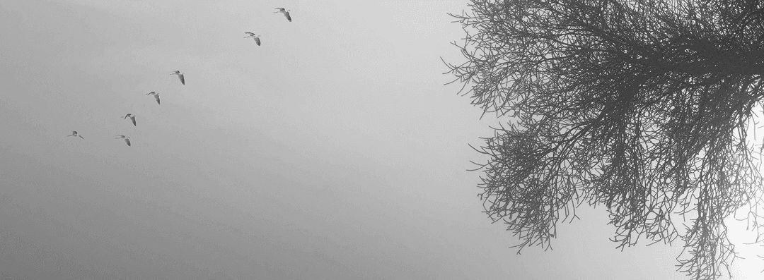 The Brand Vibe Audit