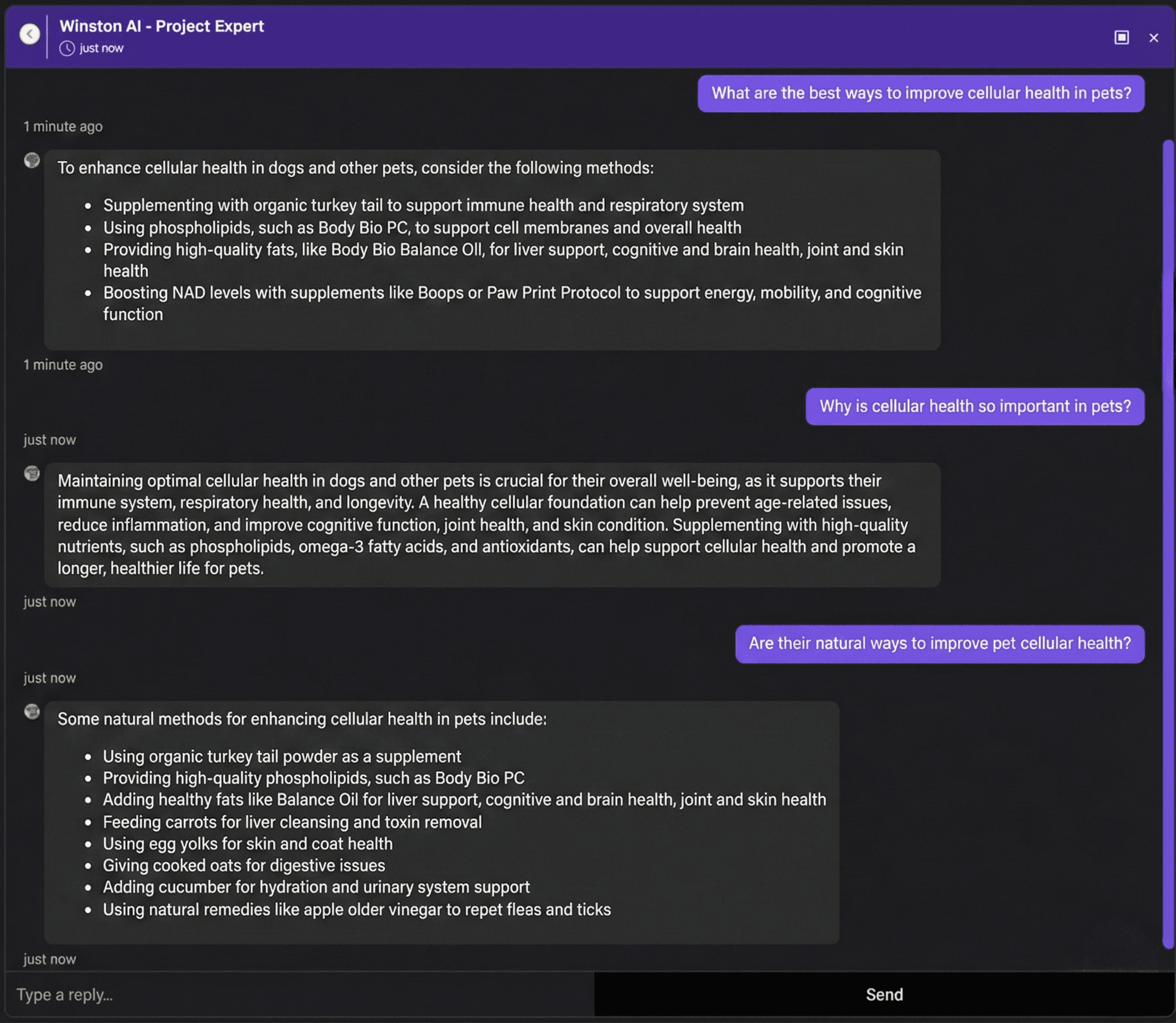 Winston AI chat interface: Decision intelligence AI data analysis tool.