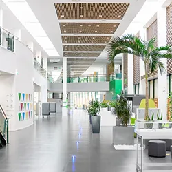 Locaux et espaces de travail d'une entreprise