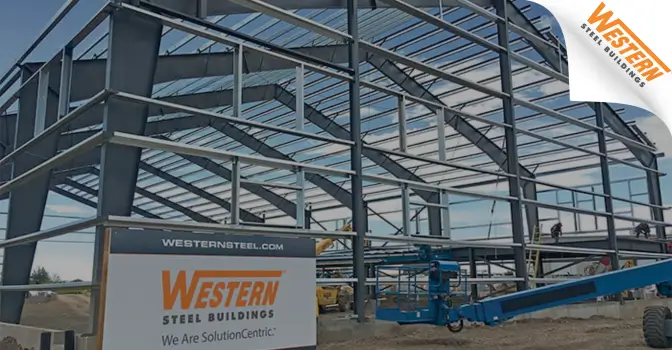 PPC Client Case Study