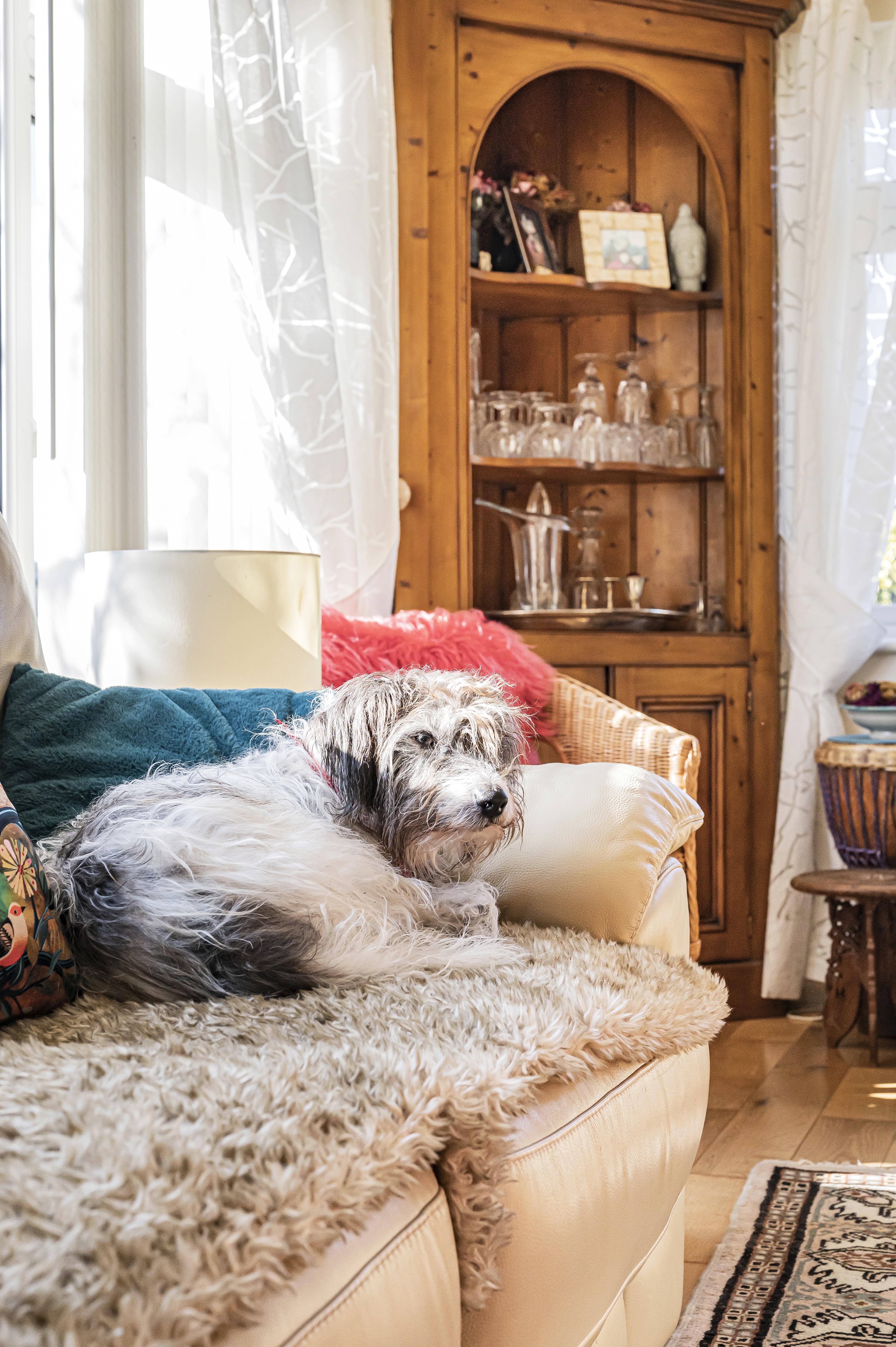 A happy couple in wedding attire celebrates outside, surrounded by guests throwing confetti.