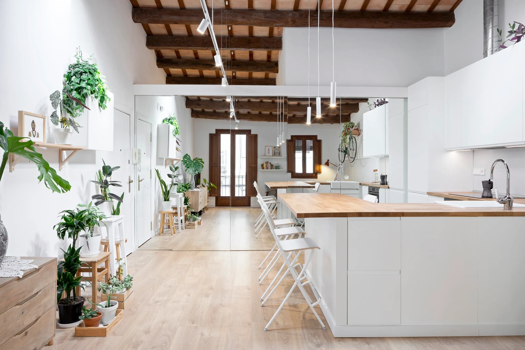 Cuisine ouverte, plantes et végétation, poutres bois apparentes