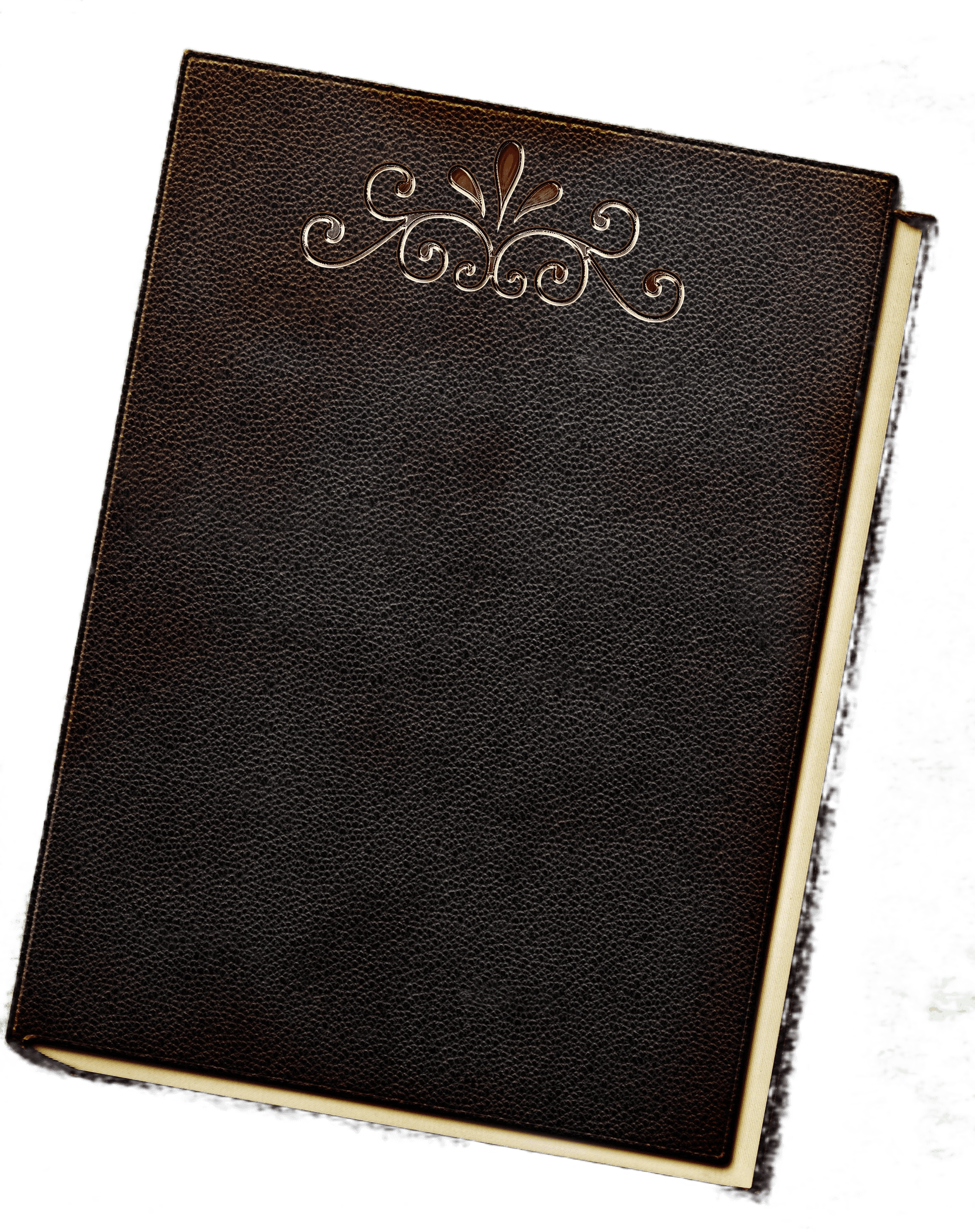 image of a hardcover book