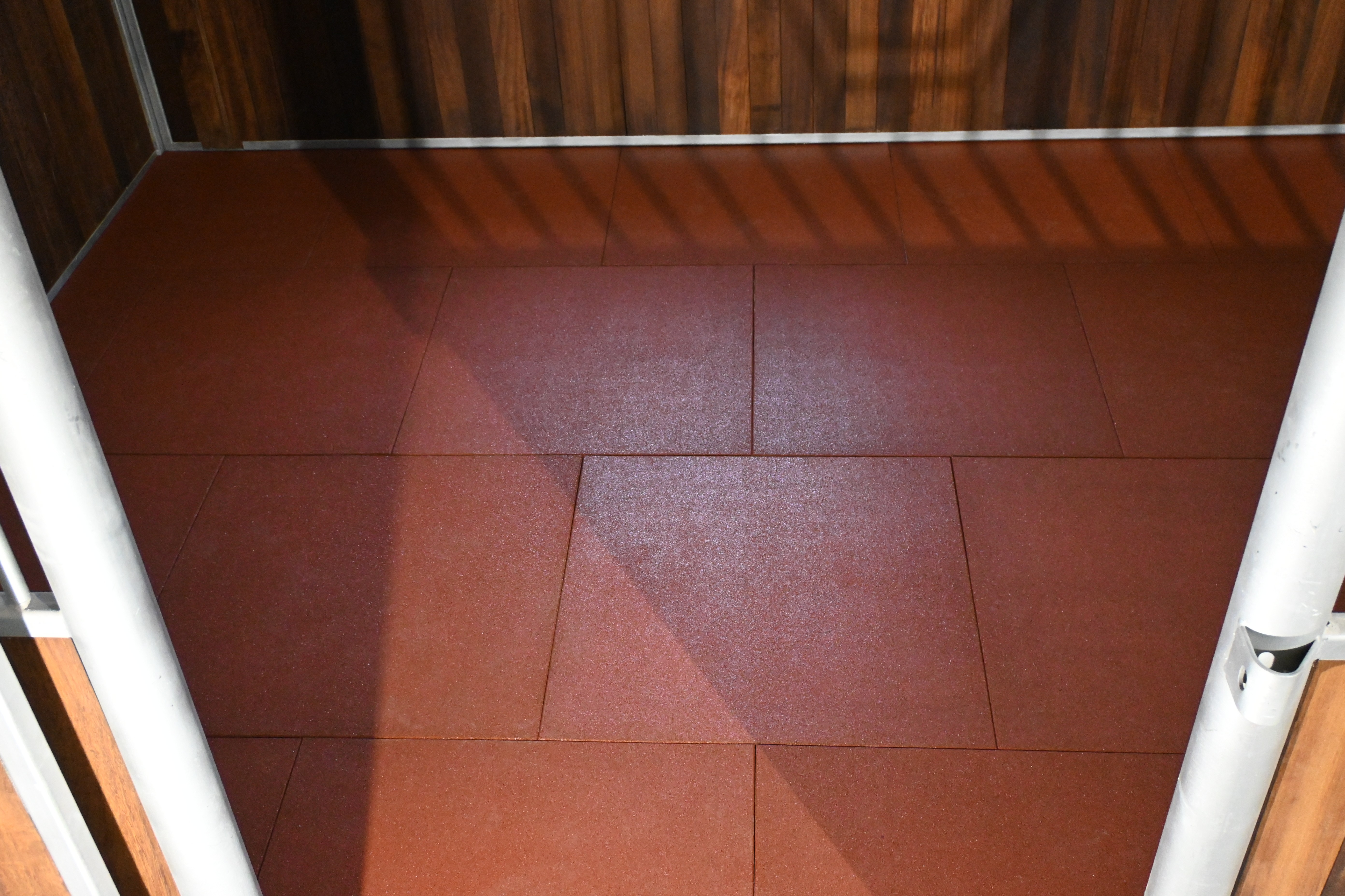 hest som vaskes med vann